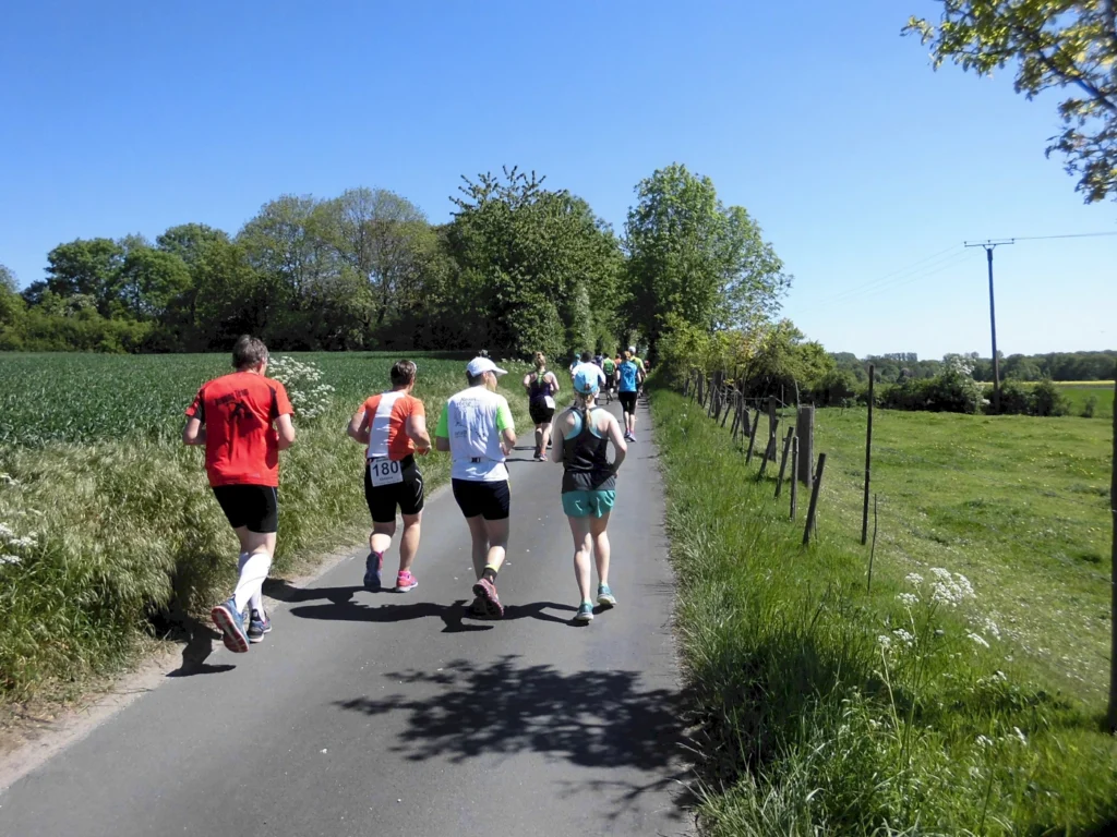 Läuferinnen und Läufer joggen auf einem schmalen Weg durch eine grüne Landschaft an einem sonnigen Tag. Im Hintergrund sind Bäume und ein Feld zu sehen, während die Sportler in sportlicher Kleidung und mit Startnummern unterwegs sind.