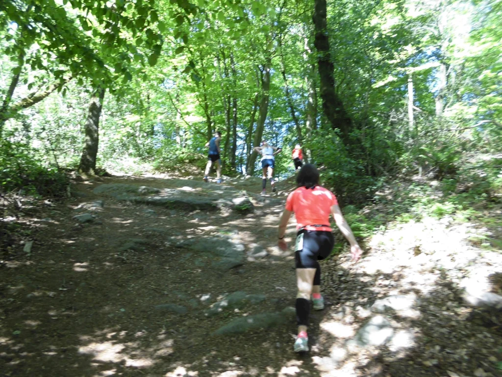 Läufer auf einem steilen Waldweg, umgeben von üppigem Grün, während sie einen hügeligen Trail im Freien erkunden.