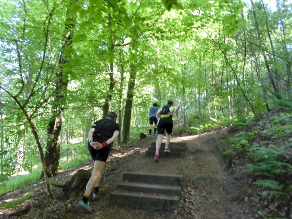 Läufer auf einem Waldweg, der Stufen hinaufführt, umgeben von üppigem grünem Laub und Bäumen, ideal für Trailrunning und Outdoor-Aktivitäten.