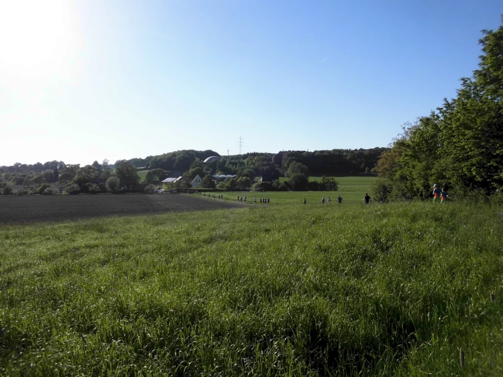 Grüne Wiesenlandschaft mit Wanderern im Hintergrund, umgeben von sanften Hügeln und einem klaren blauen Himmel. Ideal für Outdoor-Aktivitäten und Naturerlebnisse.