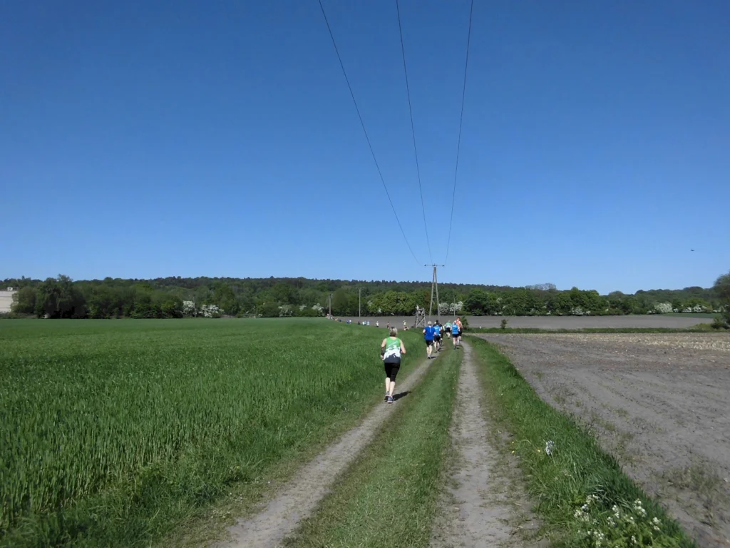 Menschen joggen auf einem unbefestigten Weg durch eine grüne Landschaft mit Feldern und Bäumen unter klarem, blauem Himmel.