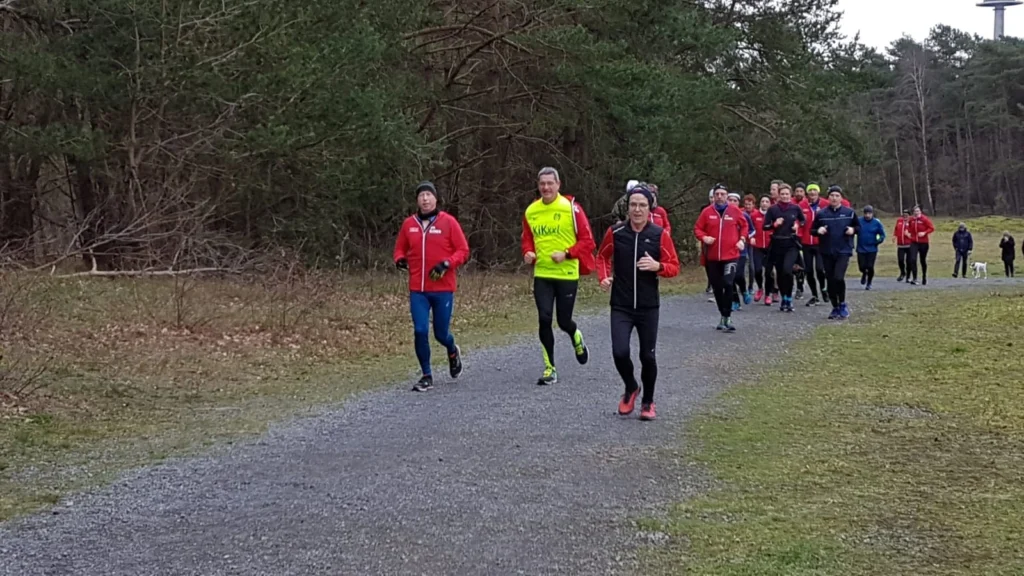 Gruppe von Läufern im Park auf einem Kiesweg, umgeben von Bäumen, beim gemeinsamen Joggen in sportlicher Kleidung.