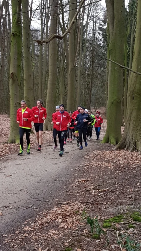 Gruppe von Laufenden in roten Jacken auf einem Waldweg, umgeben von Bäumen und Laub, während sie gemeinsam joggen. Ideal für Sport- und Naturenthusiasten.