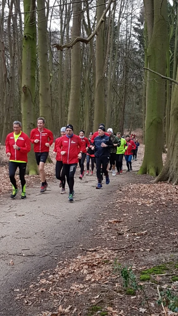 Gruppe von Läufern in roter Sportkleidung joggt durch herbstlichen Waldweg. Ideal für Laufen im Freien.