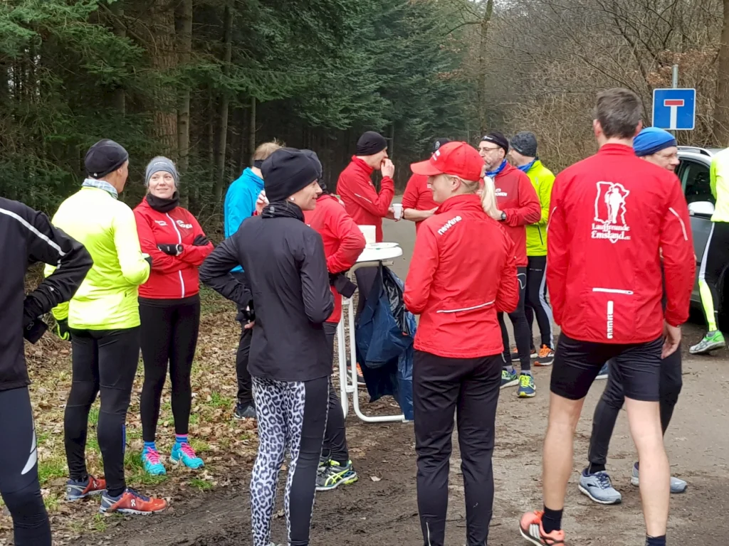 Gruppe von Läufern in bunten Sportjacken pausiert nach dem Lauf im Wald für eine soziale Verschnaufpause.