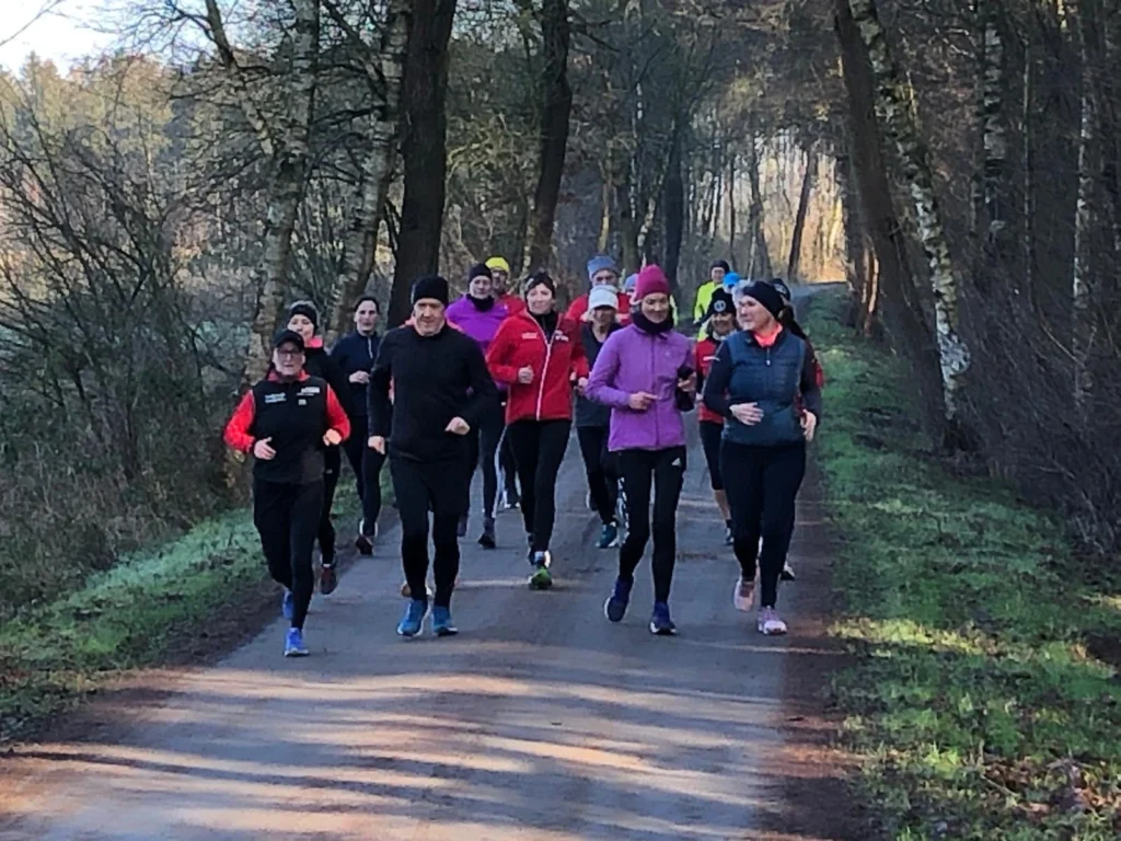 Gruppe von Menschen joggt auf Waldweg, umgeben von Bäumen, bei kühlem Wetter.