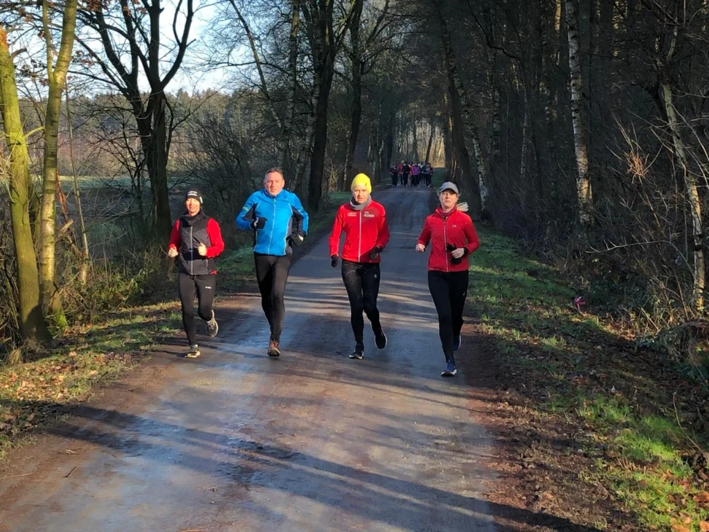 Vier Menschen joggen auf einem Waldweg an einem sonnigen Tag und genießen die frische Luft und Natur.