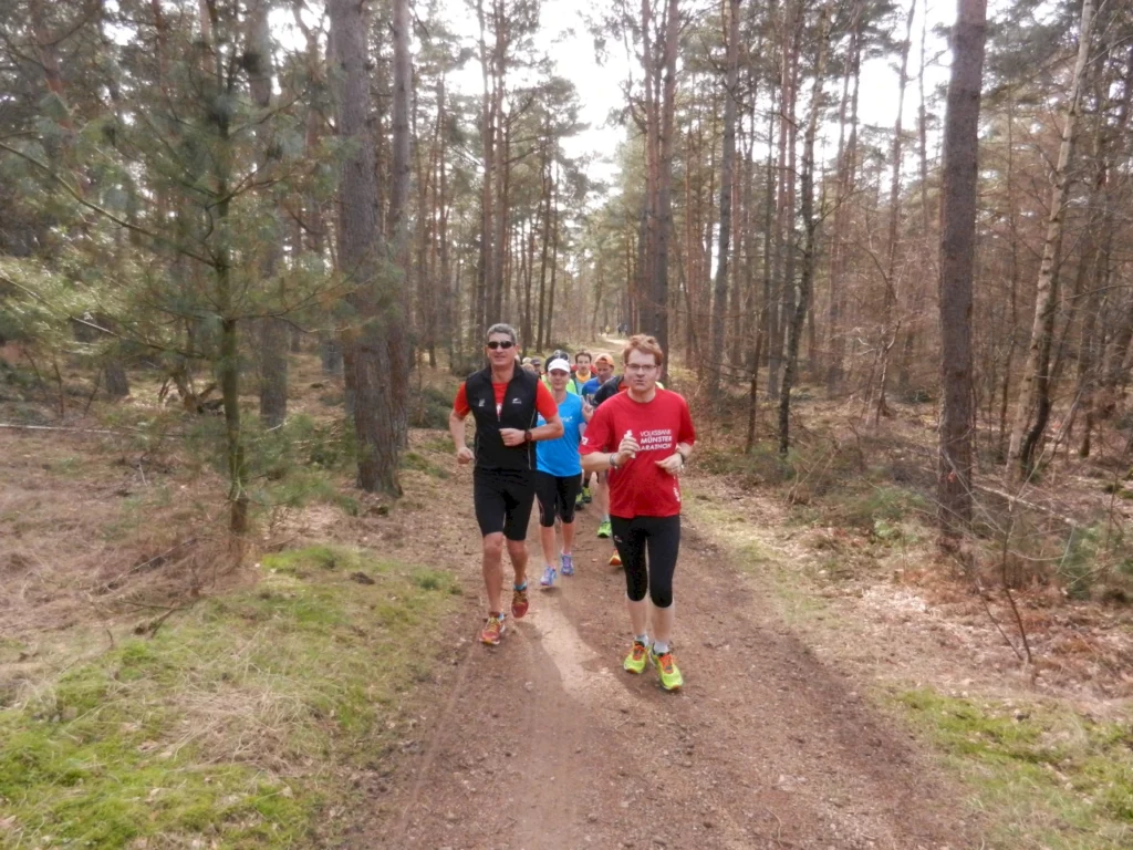Gruppe von Läufern, die auf einem Waldweg joggen, umgeben von Bäumen und natürlicher Vegetation. Ideal für Outdoor-Sport und Fitnessaktivitäten.