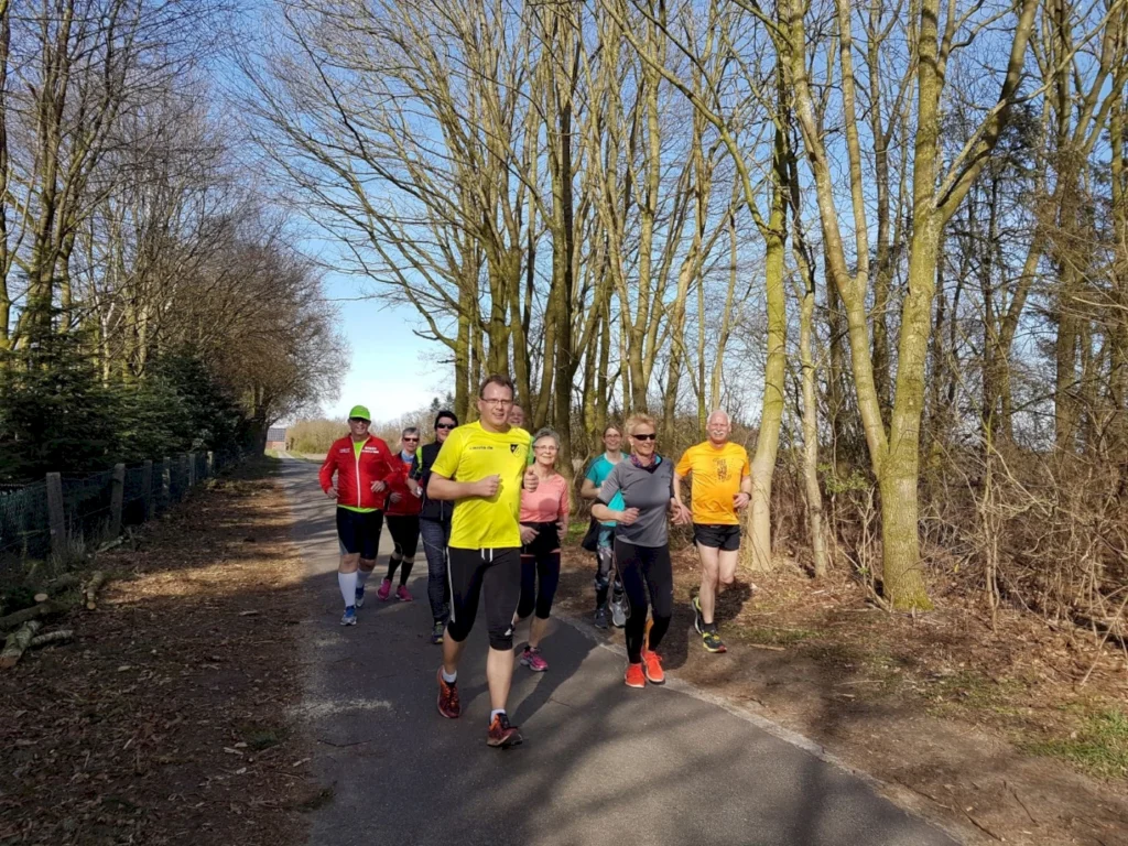Gruppe von Läufern in sportlicher Kleidung, die auf einem schmalen Weg durch eine bewaldete Landschaft joggen, umgeben von Bäumen und klarem Himmel.