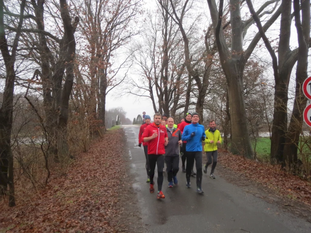 Gruppe von Läufern in sportlicher Kleidung joggt auf einer Landstraße, umgeben von herbstlichen Bäumen und Laub. Ideal für Lauf- und Fitnessenthusiasten.