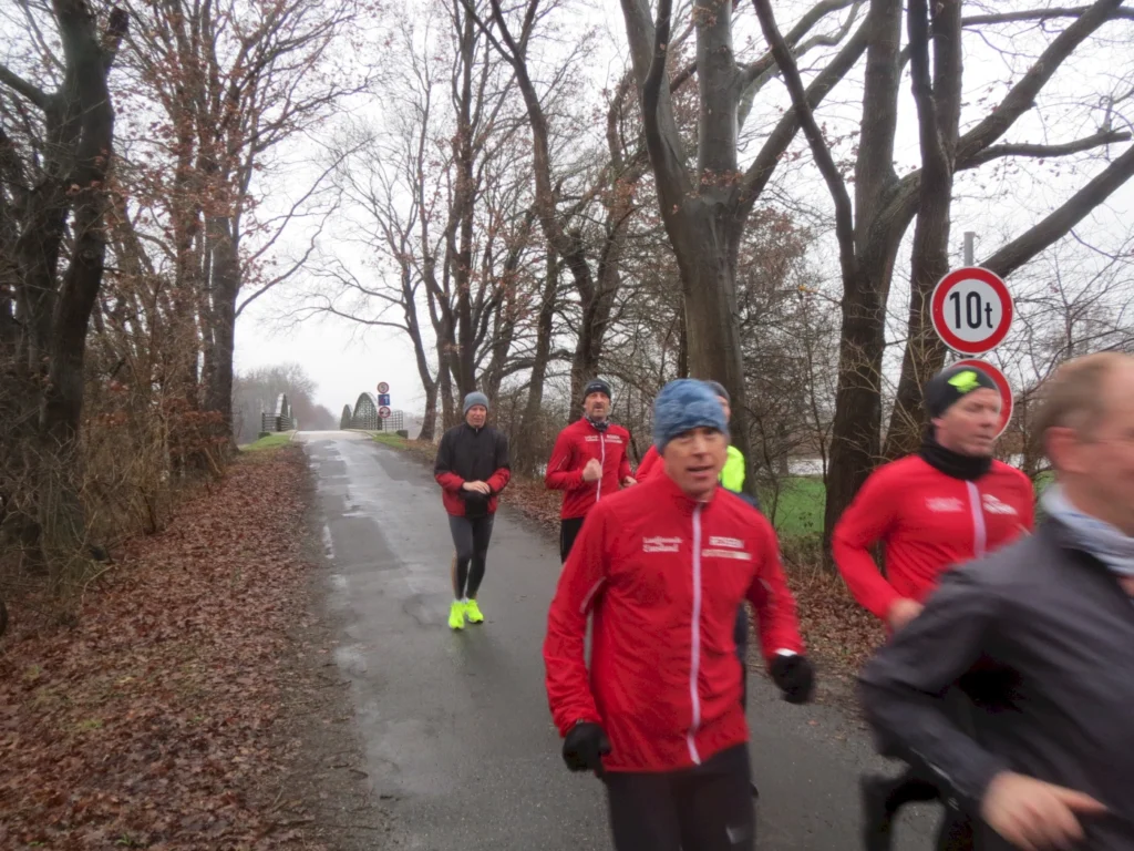 Gruppe von Läufern in roten Jacken, die an einem regnerischen Tag auf einer Landstraße joggen, umgeben von kahlen Bäumen und Laub. Verkehrszeichen sind im Hintergrund sichtbar.