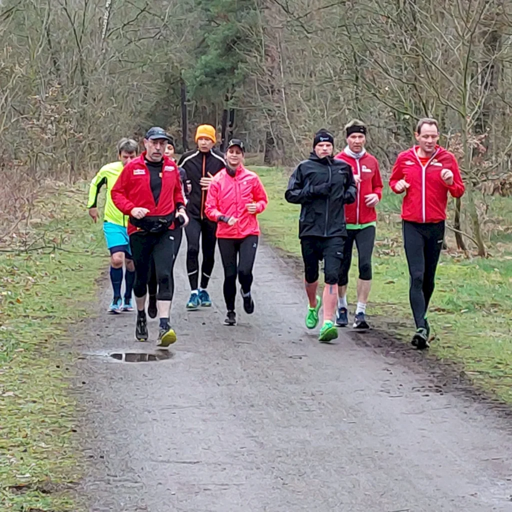 Gruppe von sieben Läufern in Sportkleidung, die auf einem Waldweg joggen. Die Teilnehmer tragen unterschiedliche Farben, darunter rot, schwarz und gelb, und zeigen eine aktive Laufhaltung. Umgebende Natur mit kahlen Bäumen und leicht bewölktem Himmel.