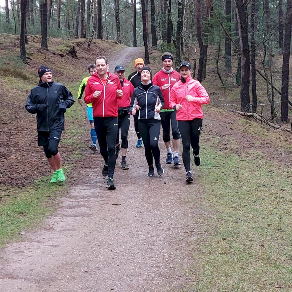 Gruppe von Läufern in sportlicher Kleidung joggt auf einem Waldweg, umgeben von Bäumen und natürlicher Vegetation. Ideal für Lauftraining und Fitnessaktivitäten im Freien.