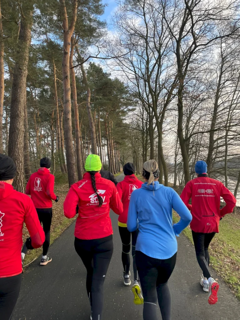 Gruppe von Läufern in roten und blauen Sportjacken, die einen Waldweg entlang joggen, umgeben von hohen Bäumen und klarem Himmel.