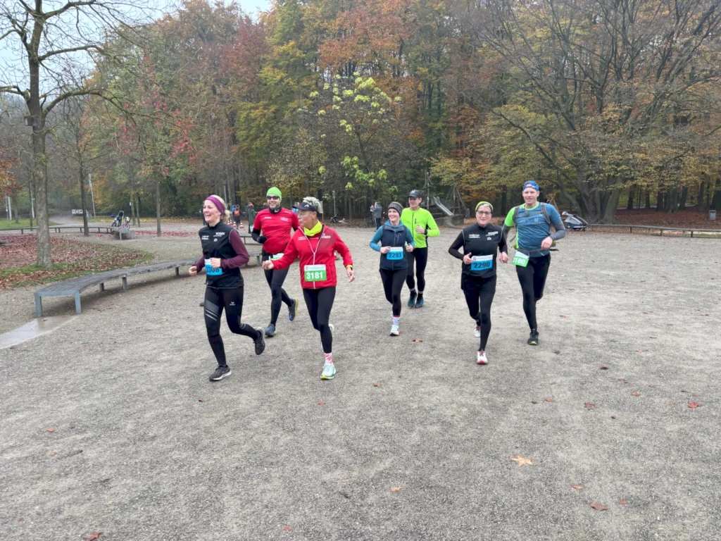 Läufer in sportlicher Kleidung nehmen an einem Lauf-Event im Herbst teil, umgeben von bunten Laubbäumen im Park.