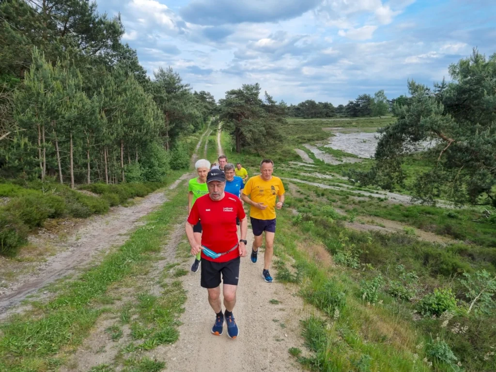 Gruppe von fünf Läufern, die auf einem Waldweg in der Natur joggen, umgeben von Bäumen und einem klaren Himmel, ideal für Outdoor-Aktivitäten und Fitness.
